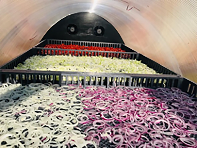 UJ alumna using solar energy to reduce food waste