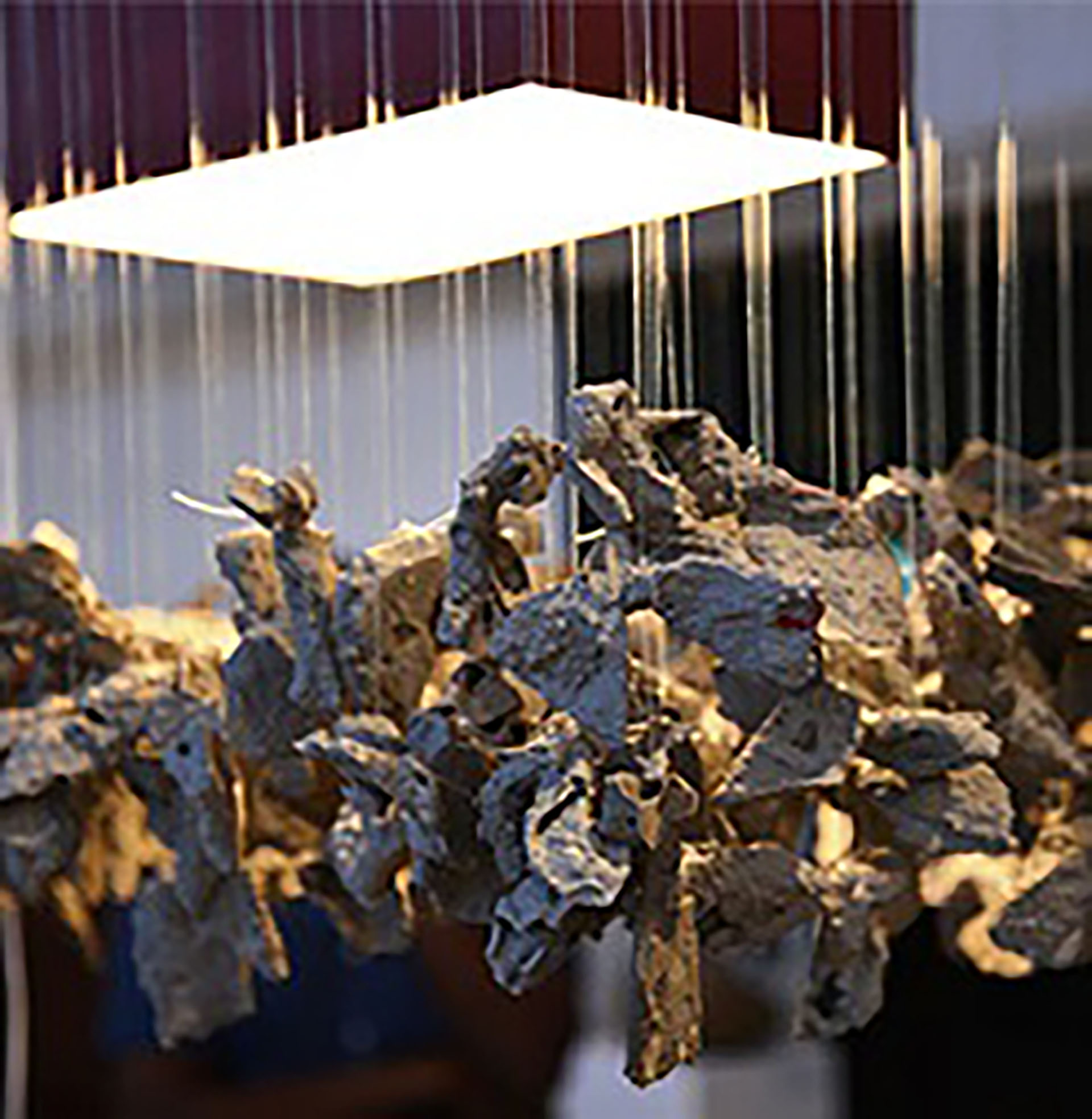 PPC Imaginarium Awards: Finalists Exhibitions and Announcement of Winners