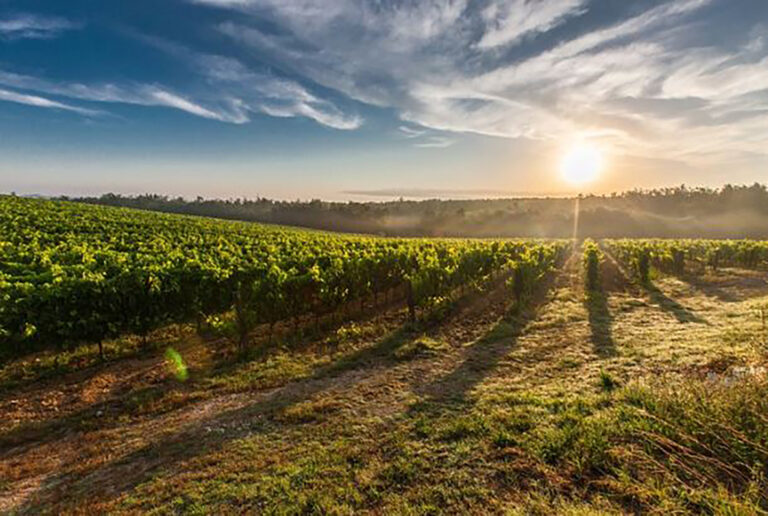 We need a new political economy of land reform, not farms without farmers and farmers without farms