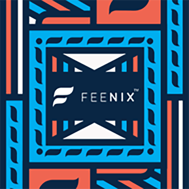 UJ students benefit from Feenix and #CapTheGap crowdfunding campaign