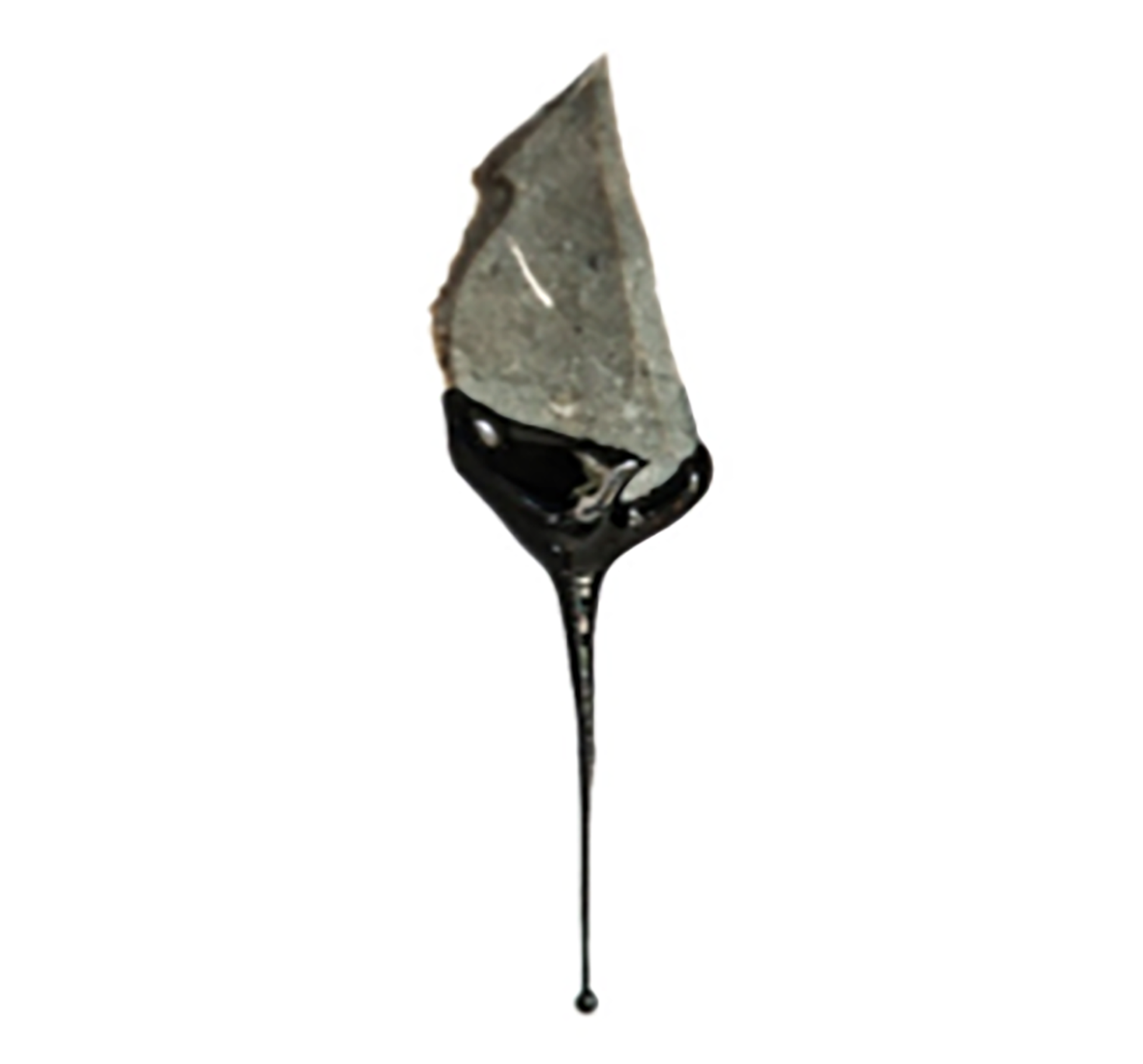 UJ, Leiden researchers discover how Neanderthals made the first glue