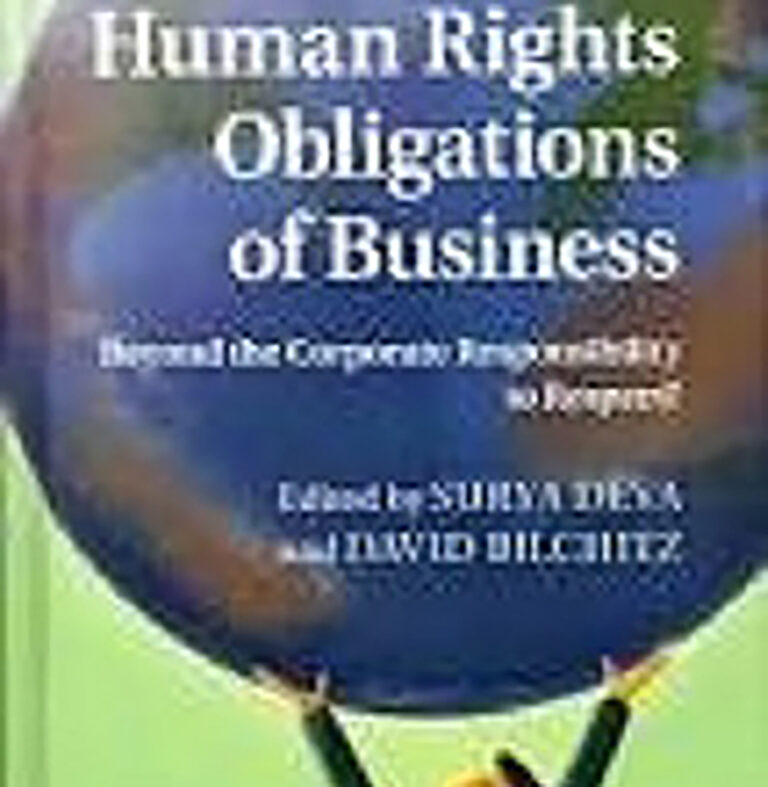 UJ’s Prof David Bilchitz takes the conversation on business and human rights around the world