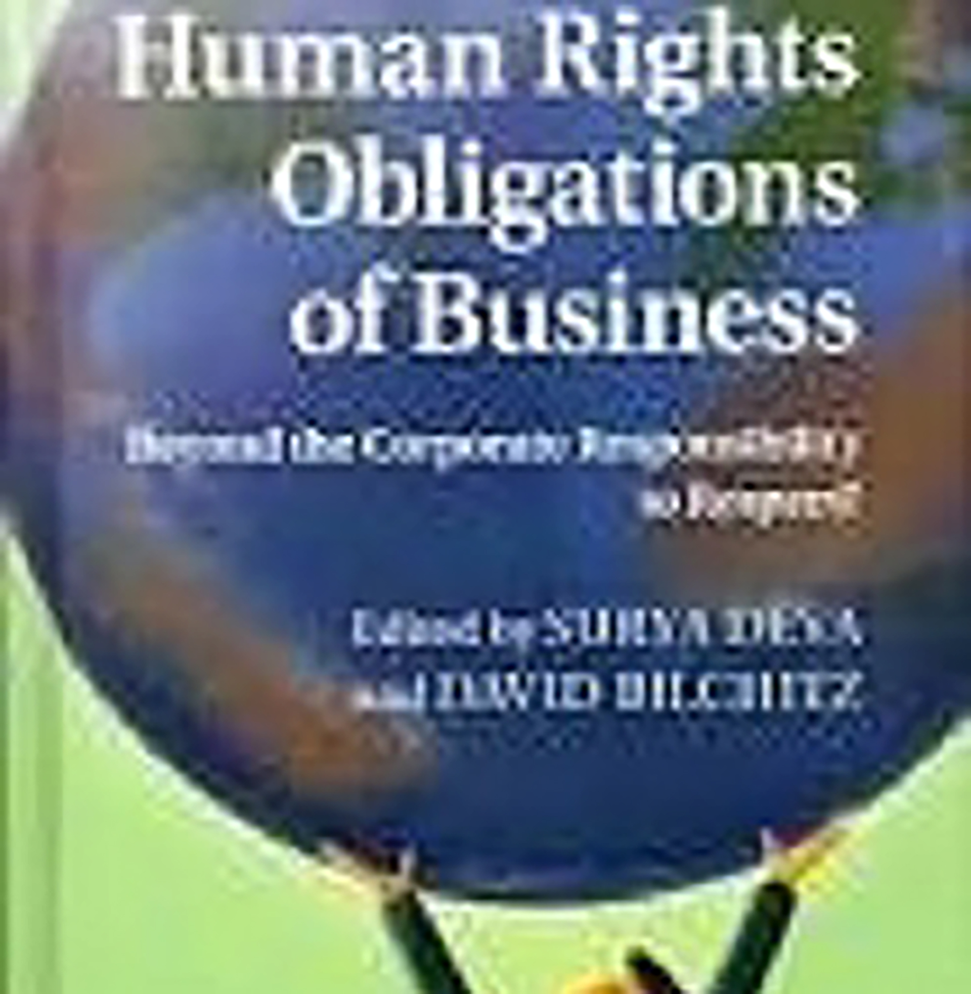 UJ’s Prof David Bilchitz takes the conversation on business and human rights around the world