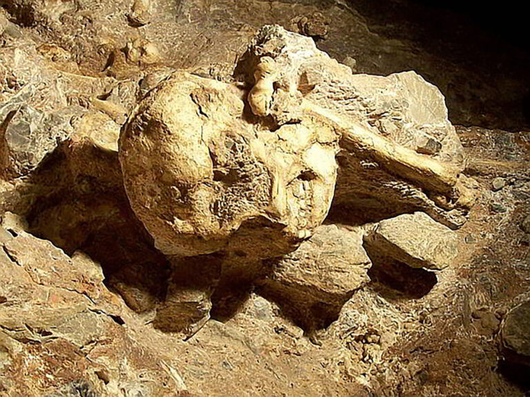 “Little Foot” Hominid much younger, says new UJ and JCU research