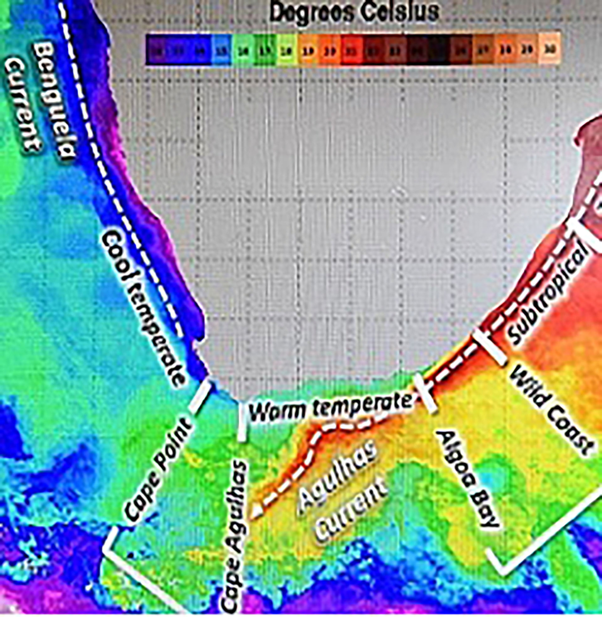 SA fish evolution faster than expected, says UJ researchers
