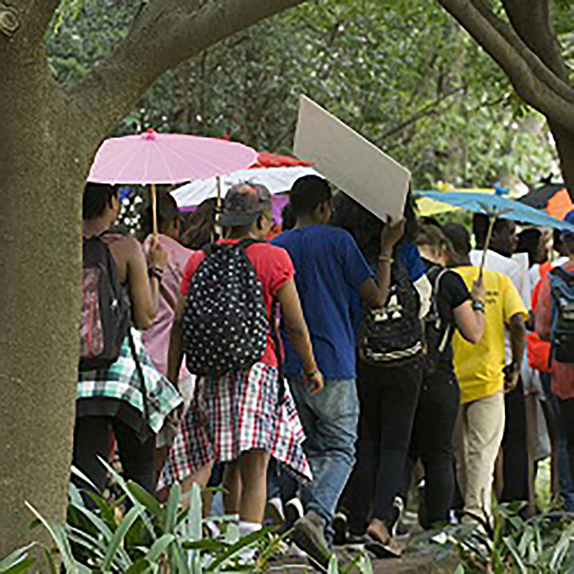 UJ students to walk for education