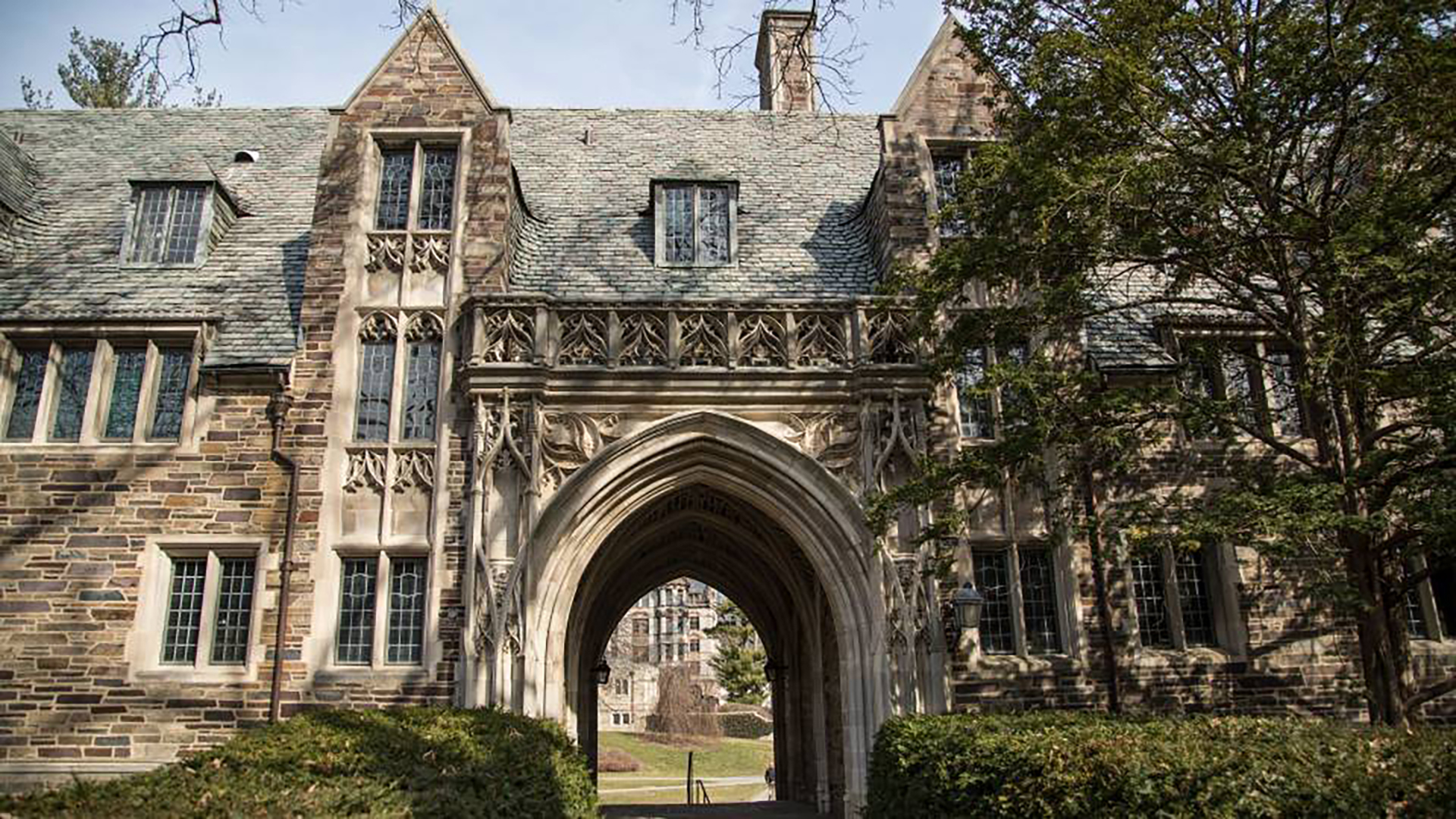 princeton university