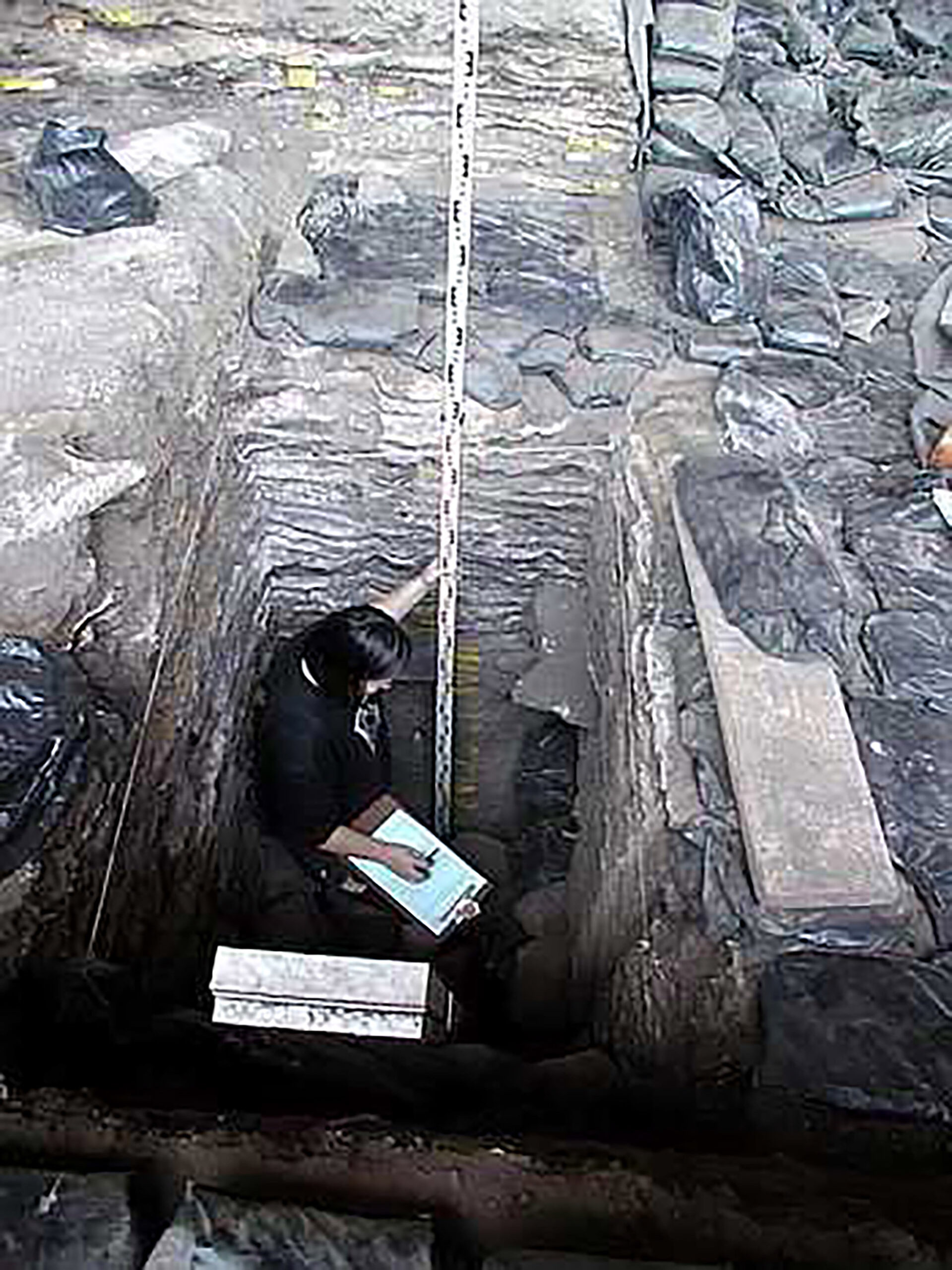 Prof Lombard Research