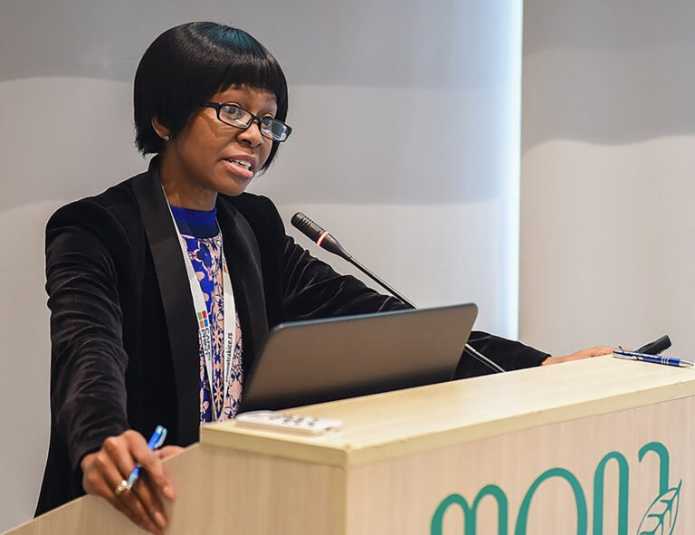 UJ lecturer presents on agency in Institutional Performance Management at international conference