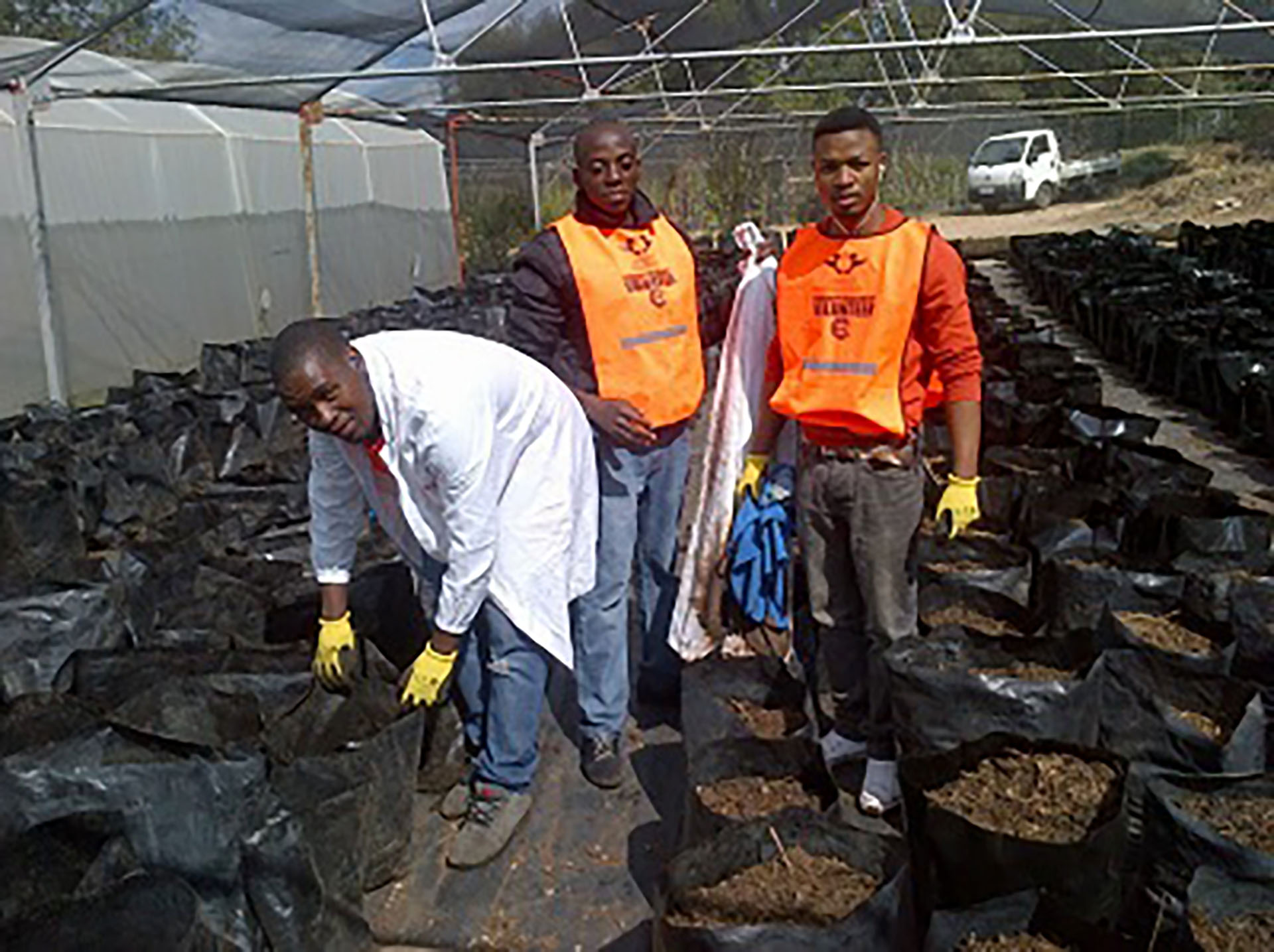 UJ’s worm composting project brings students, community together