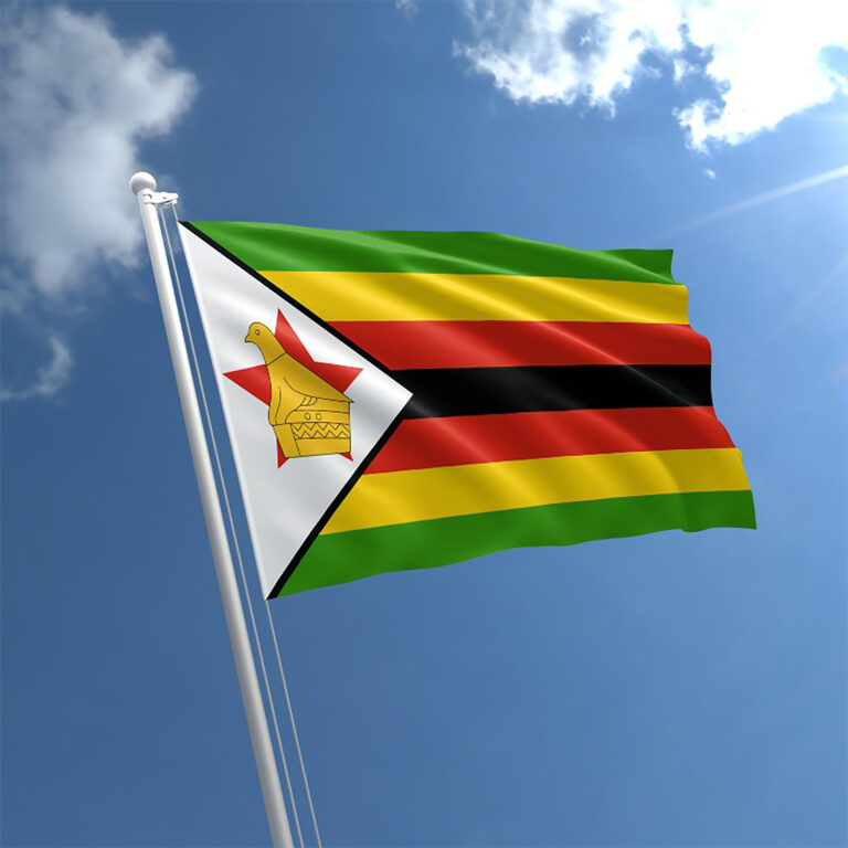 To mourn or celebrate? Zimbabwe wrestles with its moral conscience as Zanu PF leaders succumb to Covid-19