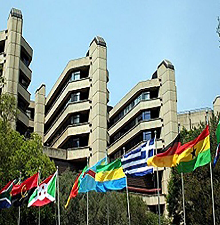 12th Annual International Festival