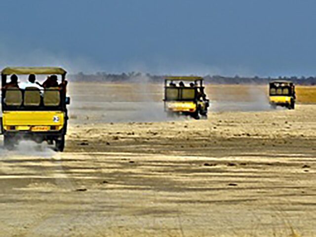 Africa By Road: UJ students explore beautiful Botswana