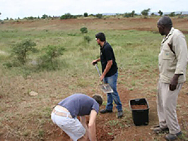 Engineering gets back to its roots