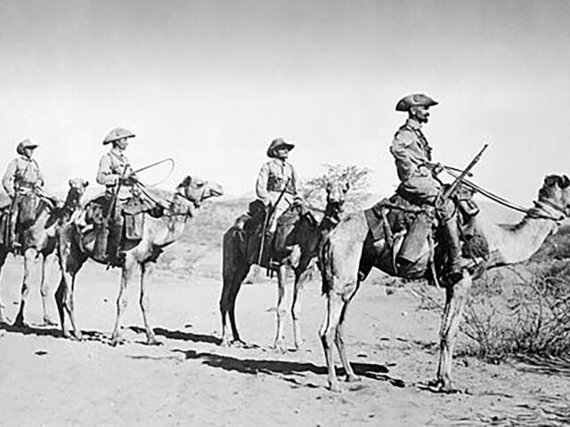 Germany’s genocide reparations to Namibia face acceptance test