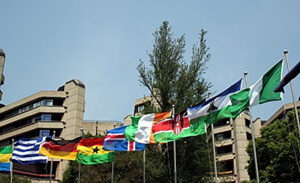 Cultural festival embraces national pride