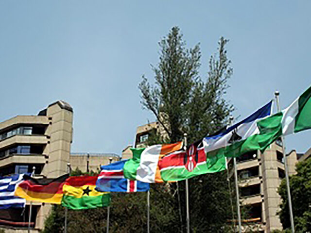 Cultural festival embraces national pride