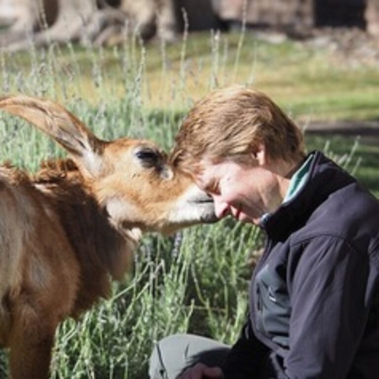 What zoologists should learn from a zoonotic pandemic