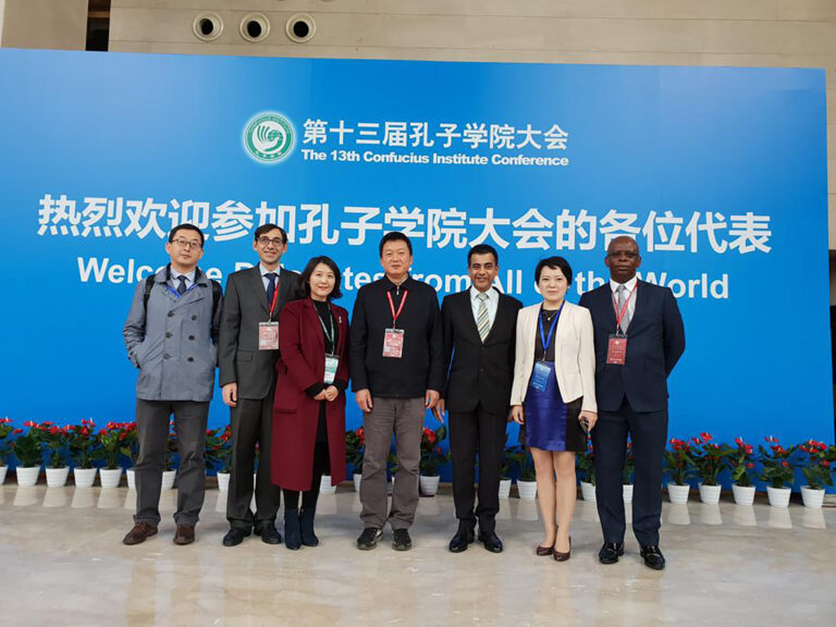 Exploring digital institutes at the global stage