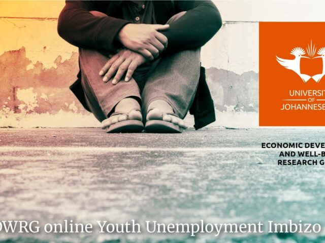 Prof Lauren Graham presents at Youth Unemployment Imbizo