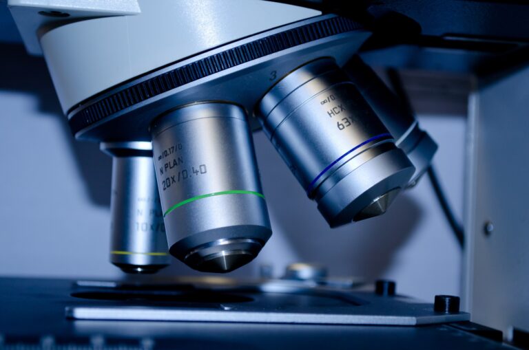 Five UJ academics on 2022 Highly Cited Researchers list