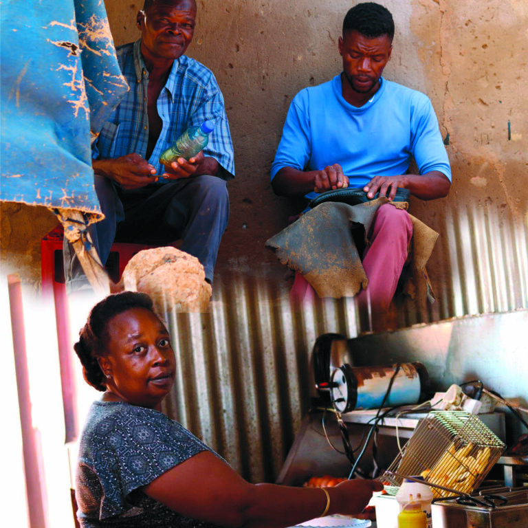 Social Grants and Livelihood Activities of Beneficiaries webinar held on 21 February 2023