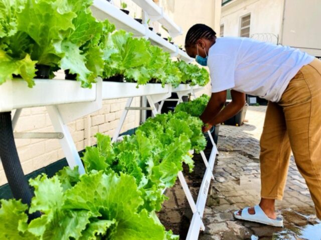 Mandela Day: Helping communities sustain their livelihoods