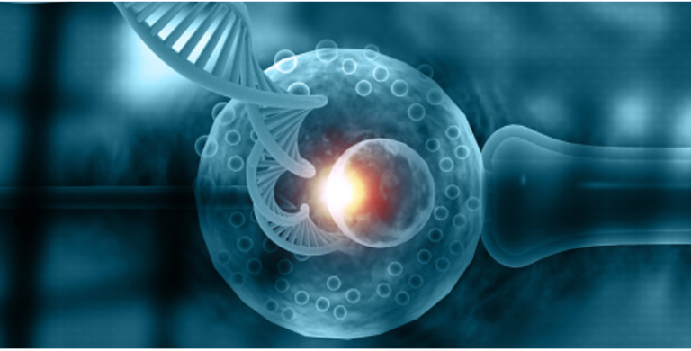 South Africa needs to adopt fertility-friendly workplace policies to recognise assisted reproductive technologies