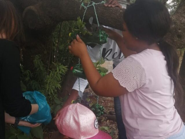 UJ Botanists Introduce the Westdene Recreation Centre Project