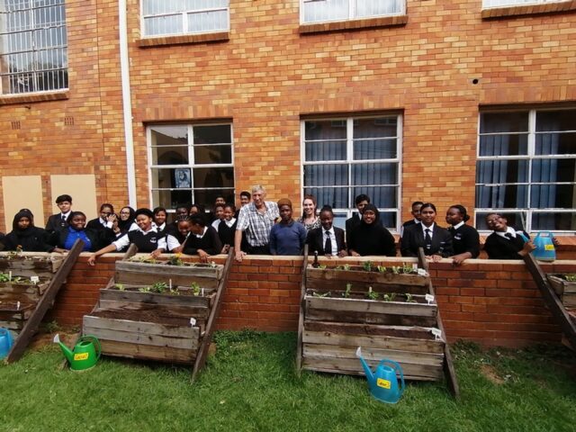 UJMA Vegetable-Box Project