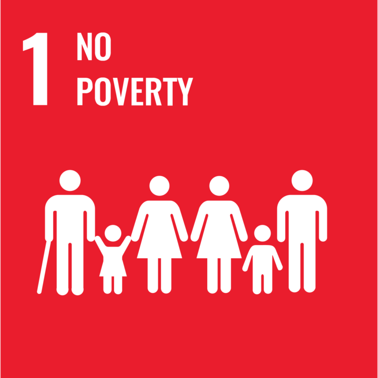 UJ tops global THE Impact Rankings, takes first spot for SDG 1: No Poverty