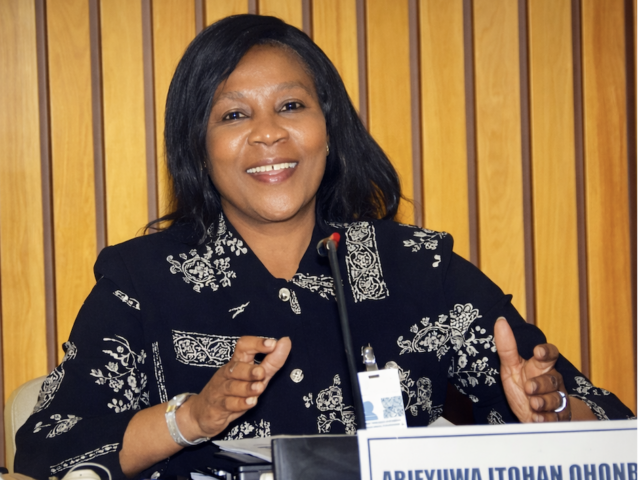SoE’s Dr Abieyuwa Ohonba part of UN Economic Commission for Africa meeting