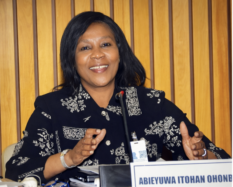 SoE’s Dr Abieyuwa Ohonba part of UN Economic Commission for Africa meeting