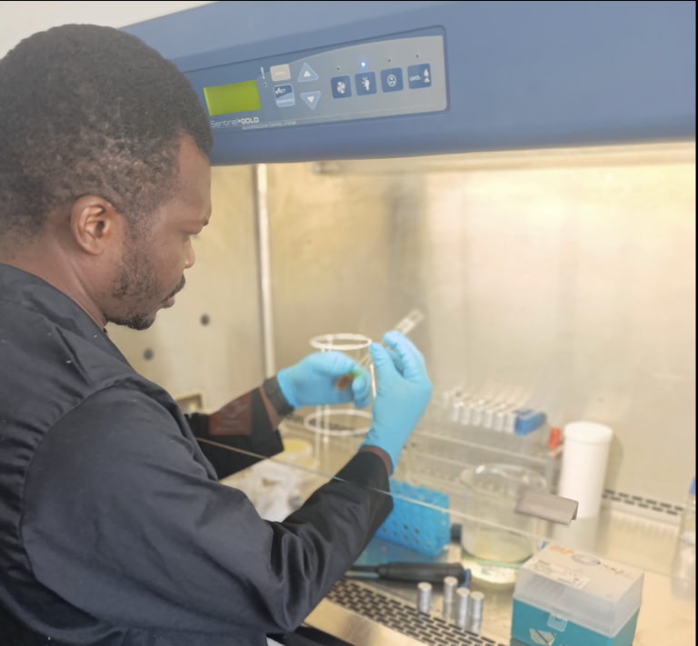 UJ researchers unlock cancer-fighting potential in common weed