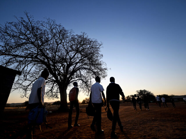 Opinion: UN report highlights need for social protection to promote gender equality