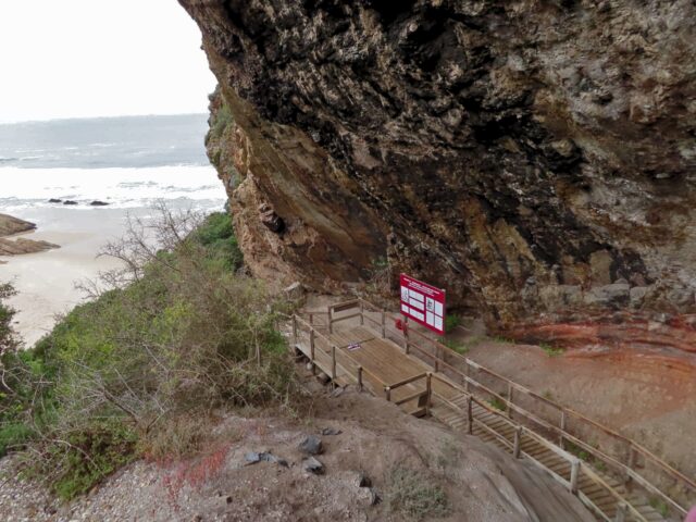 Becoming human in southern Africa: What ancient hunter-gatherer genomes reveal 