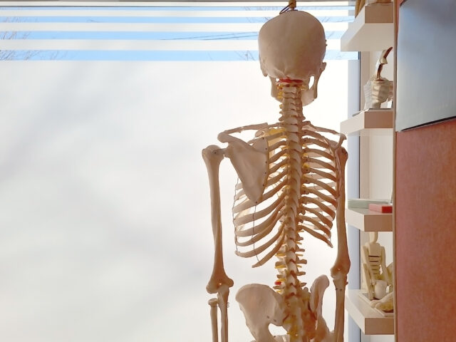 UJ and Global research partners map South Africa’s hidden headache research to strengthen evidence-based care