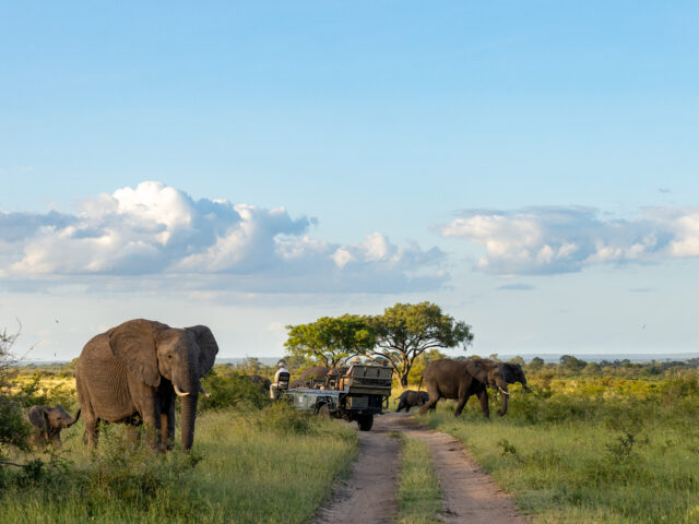 Governance backslide risks SA tourism recovery, a UJ study finds