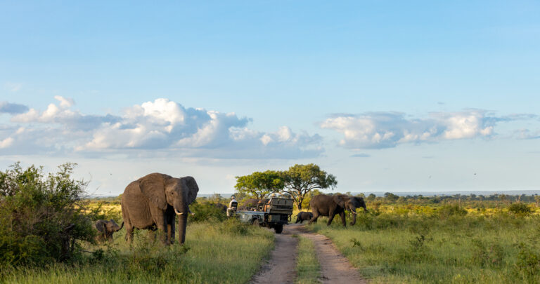 Governance backslide risks SA tourism recovery, a UJ study finds