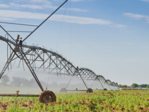 Irrigation scheme decisions require overhaul due to climate change, UJ study finds