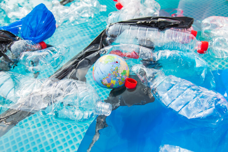 SAIFAC hosts seminar on the case for a Global Plastic Treaty and South Africa’s legal response