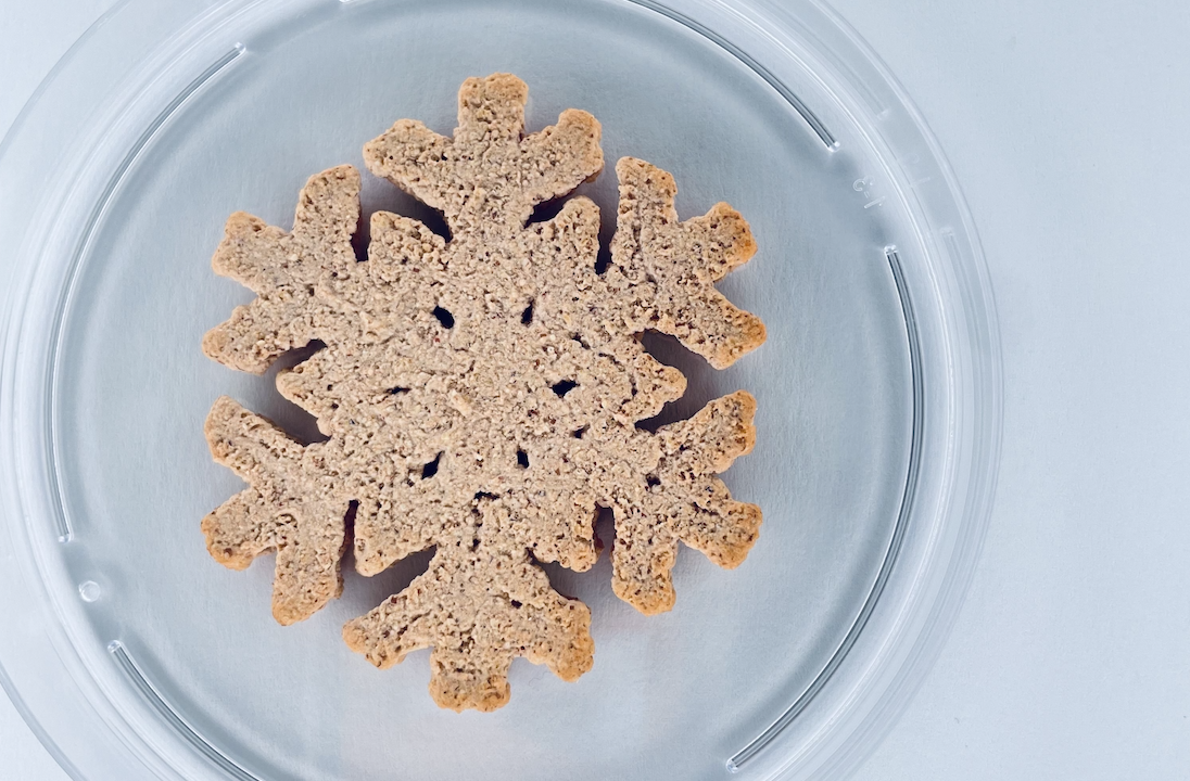 Snowflake-shaped cookie on a clear plate against a light blue background, granulated texture visible.