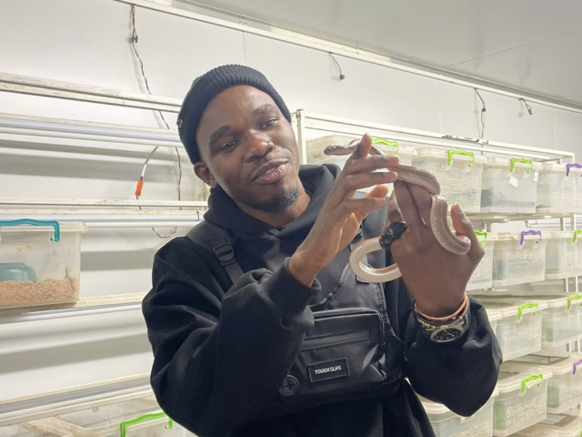 UJ researchers explore snake and scorpion venoms for future anti-cancer treatments