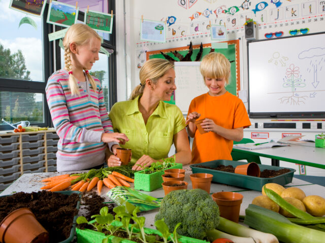 Opinion: Why teaching entrepreneurship must be a priority in every school